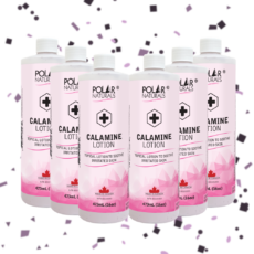 Calamine Lotion 6 PACK (6 x 473mL)