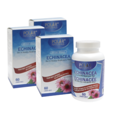 Polar Naturals Echinacea - 262.5mg - 6 Month Supply