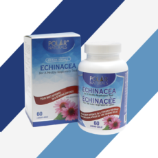 Echinacea - Single Bottle